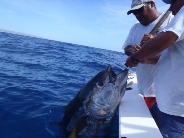  Deep sea fishing 